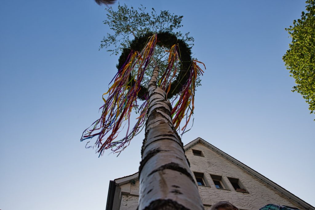 Maibaum 2019