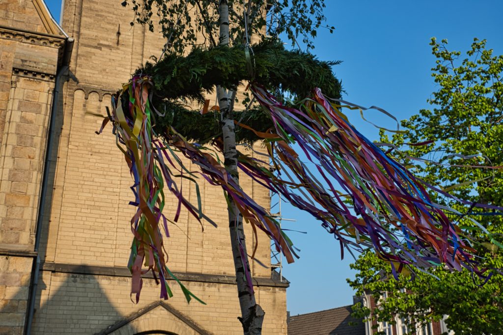 Maibaum 2019