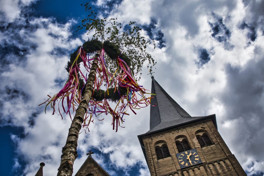 Maibaum 2020
