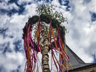 Maibaum 2020