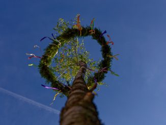 Maibaum